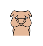 MoMo Pig（個別スタンプ：19）