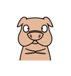 MoMo Pig（個別スタンプ：26）