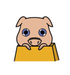 MoMo Pig（個別スタンプ：36）