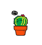 Little Cactus（個別スタンプ：11）