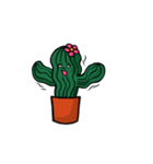 Little Cactus（個別スタンプ：20）