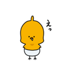 ぱんつのひよこ 1（個別スタンプ：2）