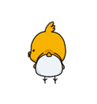 ぱんつのひよこ 1（個別スタンプ：6）