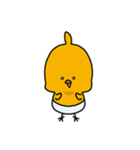 ぱんつのひよこ 1（個別スタンプ：8）