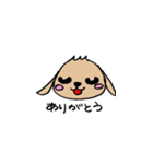 たれ耳うさぎのぷーちゃん（個別スタンプ：11）