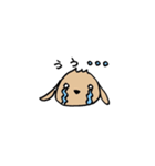 たれ耳うさぎのぷーちゃん（個別スタンプ：22）