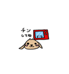 たれ耳うさぎのぷーちゃん（個別スタンプ：40）