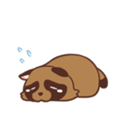 ふわふわたぬき（個別スタンプ：12）