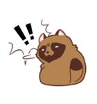 ふわふわたぬき（個別スタンプ：19）