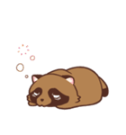 ふわふわたぬき（個別スタンプ：32）