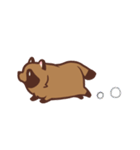ふわふわたぬき（個別スタンプ：36）