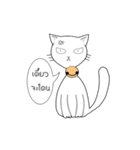 funny white cat face（個別スタンプ：2）
