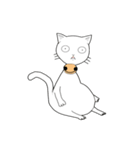 funny white cat face（個別スタンプ：8）