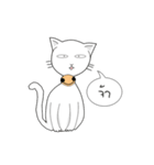 funny white cat face（個別スタンプ：15）