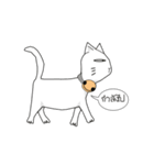 funny white cat face（個別スタンプ：16）