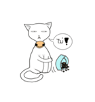 funny white cat face（個別スタンプ：17）