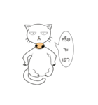 funny white cat face（個別スタンプ：18）