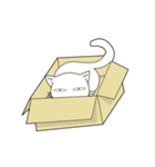 funny white cat face（個別スタンプ：23）