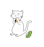 funny white cat face（個別スタンプ：24）
