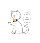 funny white cat face（個別スタンプ：25）