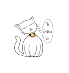 funny white cat face（個別スタンプ：28）