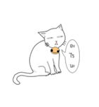 funny white cat face（個別スタンプ：29）