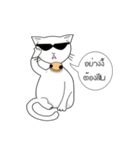 funny white cat face（個別スタンプ：30）
