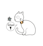 funny white cat face（個別スタンプ：31）