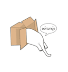 funny white cat face（個別スタンプ：36）