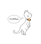 funny white cat face（個別スタンプ：37）