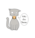 funny white cat face（個別スタンプ：39）