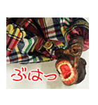 パペットパパ ボブとエディのスタンプ（個別スタンプ：16）