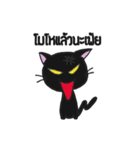 LittleBlackCat（個別スタンプ：2）