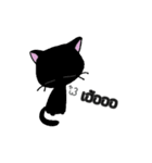 LittleBlackCat（個別スタンプ：6）