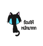 LittleBlackCat（個別スタンプ：10）