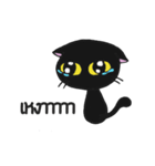 LittleBlackCat（個別スタンプ：15）