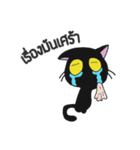 LittleBlackCat（個別スタンプ：19）