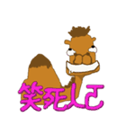 HAPPY CAMEL（個別スタンプ：29）