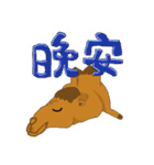 HAPPY CAMEL（個別スタンプ：36）