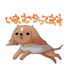 犬のチョコくん その2（個別スタンプ：20）