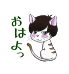 気ままっしゅねこ（個別スタンプ：1）
