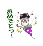 気ままっしゅねこ（個別スタンプ：14）