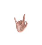 Hand Sign 3D（個別スタンプ：1）