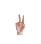 Hand Sign 3D（個別スタンプ：2）