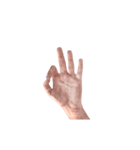 Hand Sign 3D（個別スタンプ：3）