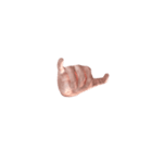 Hand Sign 3D（個別スタンプ：5）
