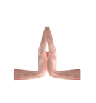 Hand Sign 3D（個別スタンプ：7）
