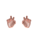 Hand Sign 3D（個別スタンプ：10）