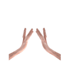 Hand Sign 3D（個別スタンプ：11）