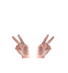 Hand Sign 3D（個別スタンプ：12）